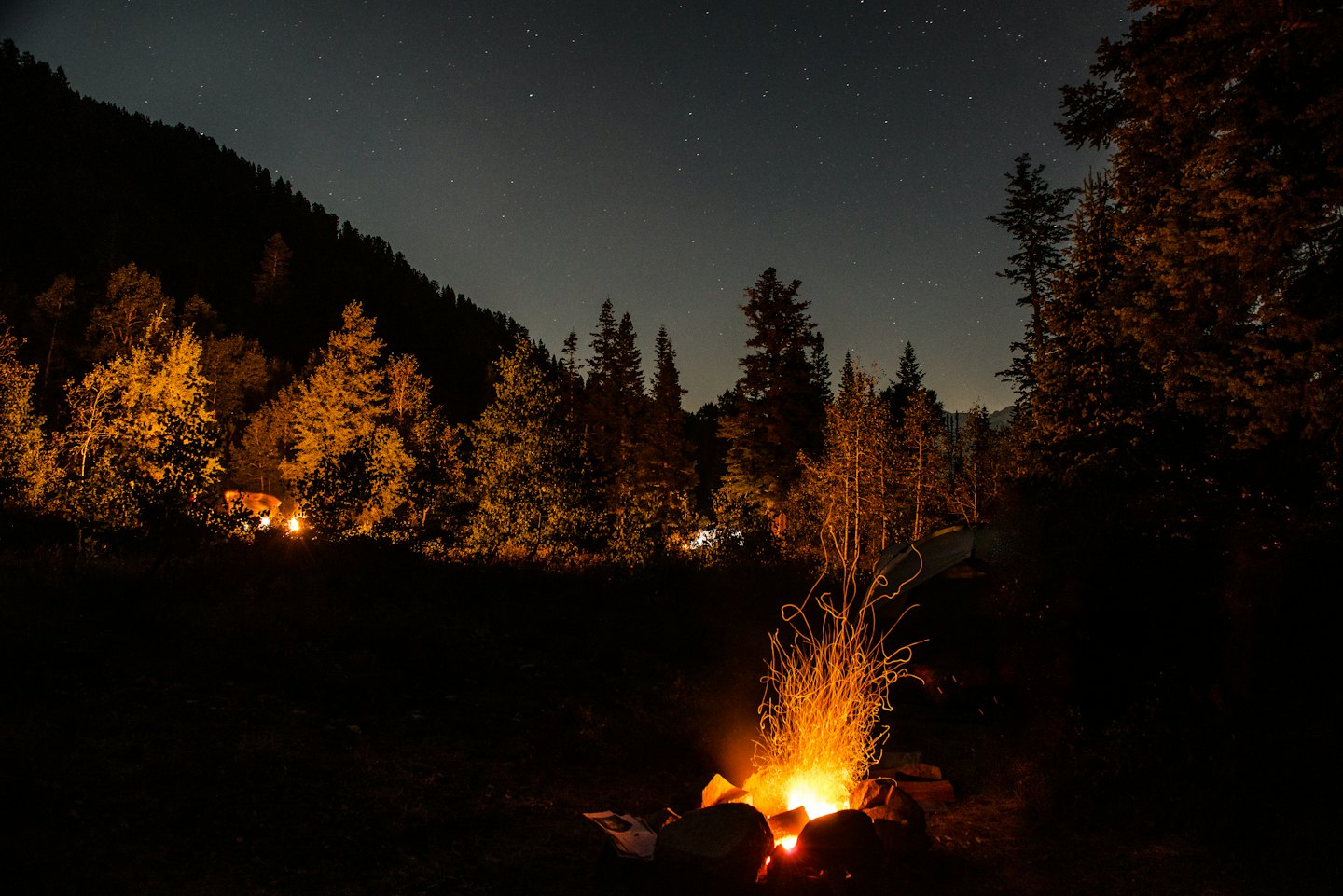 Lagerfeuer knistert nachts im Wald, Funken steigen auf.